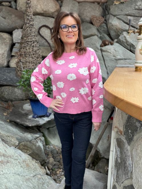 Hovedbilde Alpi genser