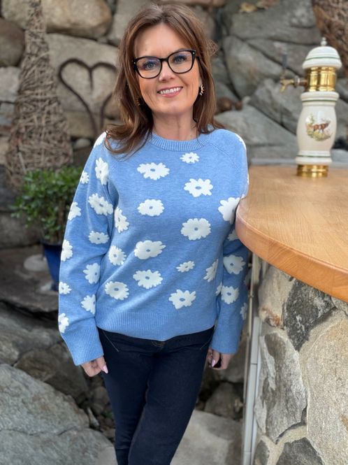 Hovedbilde Alpi genser blå